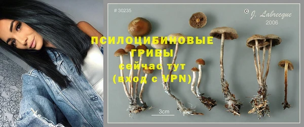 первитин Нея