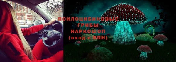 стафф Нефтегорск